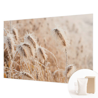 Fototapeta fizelinowa do sypialni Zimowy pejzaż