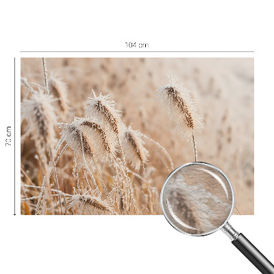 Fototapeta fizelinowa do sypialni Zimowy pejzaż