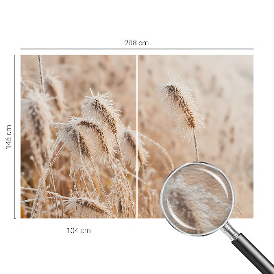 Fototapeta fizelinowa do sypialni Zimowy pejzaż