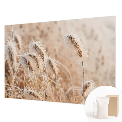 Fototapeta fizelinowa do sypialni Zimowy pejzaż