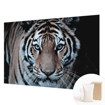 Tapeta fotograficzna Tapeta fotograficzna Tygrysi portret