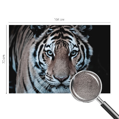 Tapeta fotograficzna Tygrysi portret