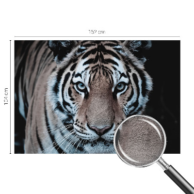 Tapeta fotograficzna Tygrysi portret