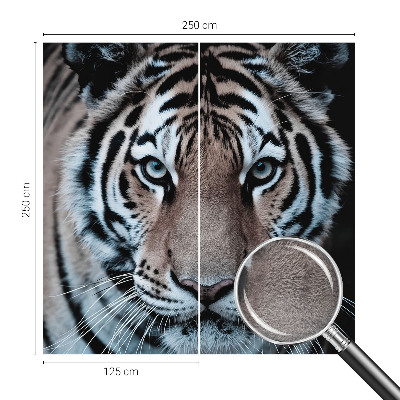 Tapeta fotograficzna Tygrysi portret