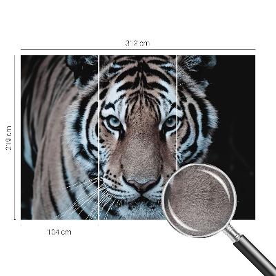 Tapeta fotograficzna Tygrysi portret