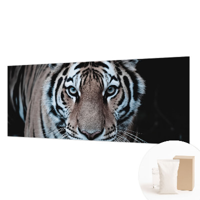 Tapeta fotograficzna Tygrysi portret