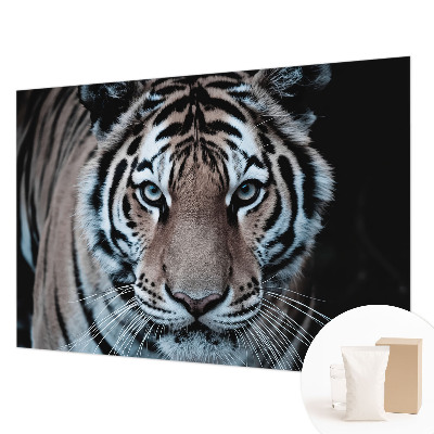 Tapeta fotograficzna Tygrysi portret