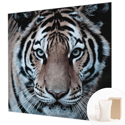 Tapeta fotograficzna Tygrysi portret