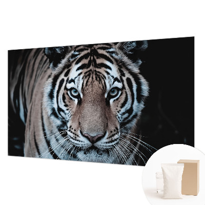 Tapeta fotograficzna Tygrysi portret