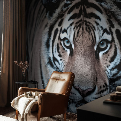 Tapeta fotograficzna Tygrysi portret