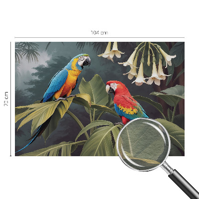 Dekoracyjna fototapeta na ścianę Kolorowe papugi