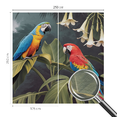 Dekoracyjna fototapeta na ścianę Kolorowe papugi