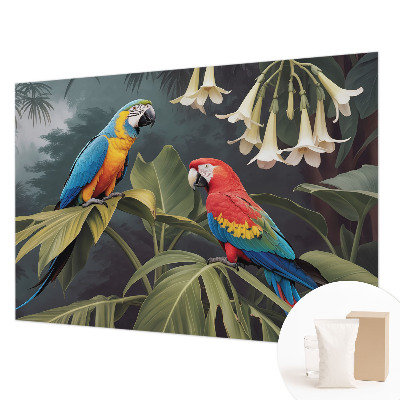 Dekoracyjna fototapeta na ścianę Kolorowe papugi