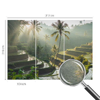 Fototapeta fizelinowa z nadrukiem Rajskie tarasy