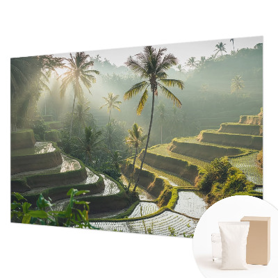 Fototapeta fizelinowa z nadrukiem Rajskie tarasy