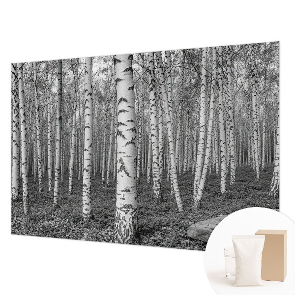 Tapeta fotograficzna z motywem brzozowego lasu