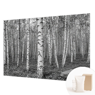 Tapeta fotograficzna z motywem brzozowego lasu