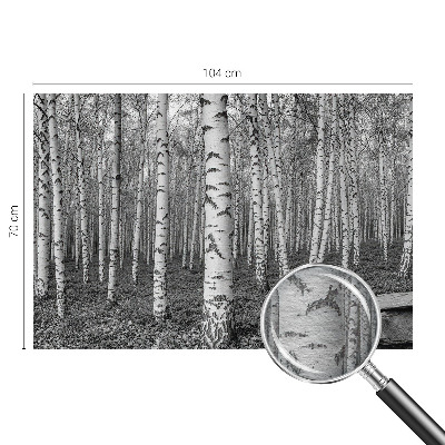 Tapeta fotograficzna z motywem brzozowego lasu