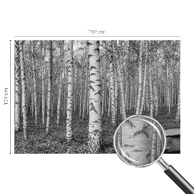 Tapeta fotograficzna z motywem brzozowego lasu