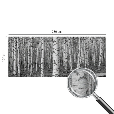 Tapeta fotograficzna z motywem brzozowego lasu