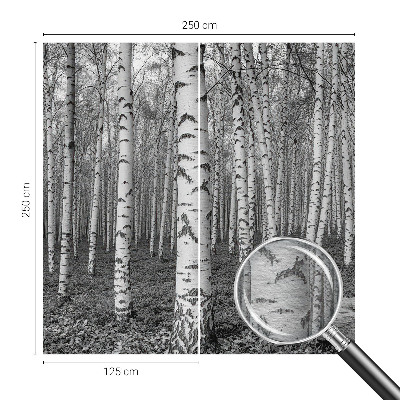 Tapeta fotograficzna z motywem brzozowego lasu