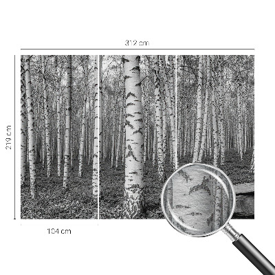 Tapeta fotograficzna z motywem brzozowego lasu