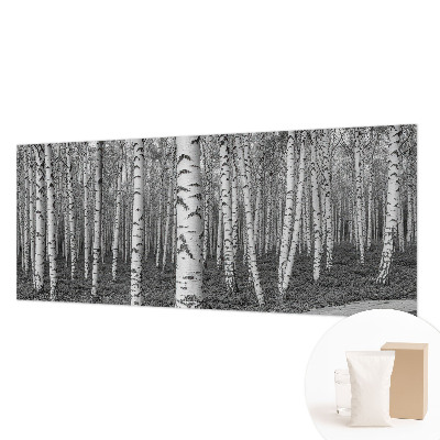 Tapeta fotograficzna z motywem brzozowego lasu