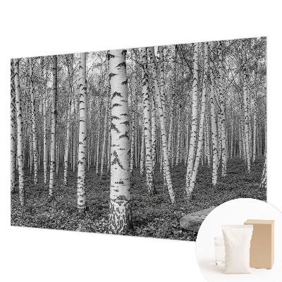 Tapeta fotograficzna z motywem brzozowego lasu