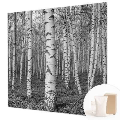 Tapeta fotograficzna z motywem brzozowego lasu