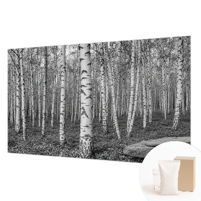 Tapeta fotograficzna z motywem brzozowego lasu
