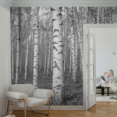 Tapeta fotograficzna z motywem brzozowego lasu