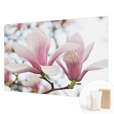 Fototapeta fizelinowa do sypialni z motywem kwitnących magnolii