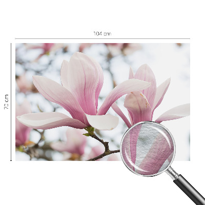 Fototapeta fizelinowa do sypialni z motywem kwitnących magnolii