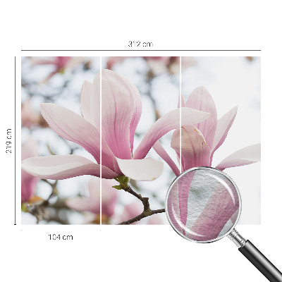 Fototapeta fizelinowa do sypialni z motywem kwitnących magnolii