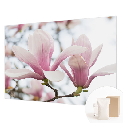 Fototapeta fizelinowa do sypialni z motywem kwitnących magnolii