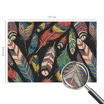 Fototapeta na ścianę z motywem barwnych piór