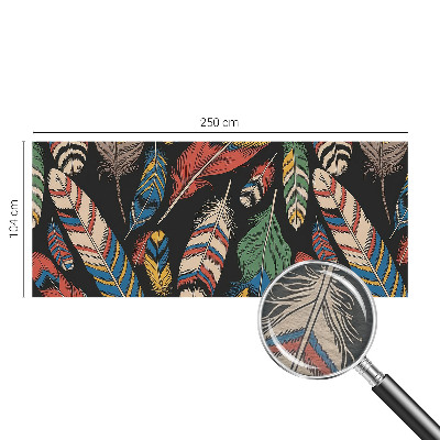 Fototapeta na ścianę Barwne pióra