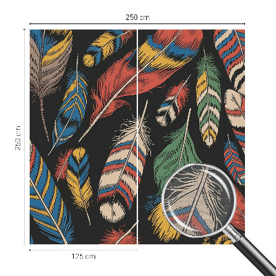 Fototapeta na ścianę Barwne pióra