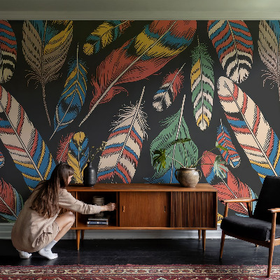 Fototapeta na ścianę Barwne pióra