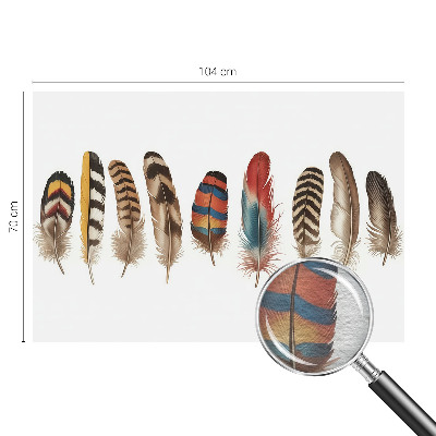 Tapeta fotograficzna Barwne pióra