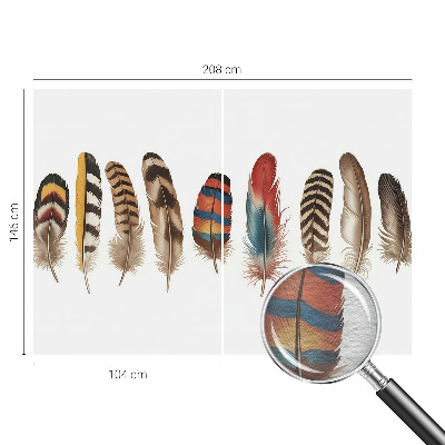 Tapeta fotograficzna Barwne pióra