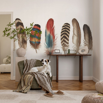 Tapeta fotograficzna Barwne pióra