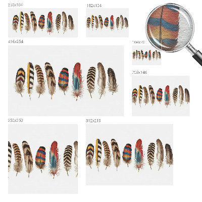 Tapeta fotograficzna Barwne pióra