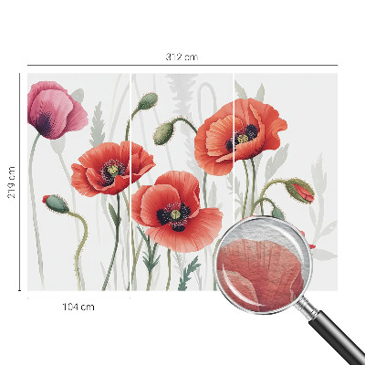 Nowoczesna fototapeta do salonu Czerwone maki