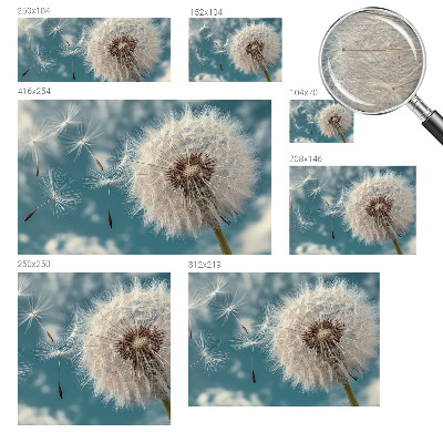 Fototapeta fizelinowa z nadrukiem Lekka eteryczność