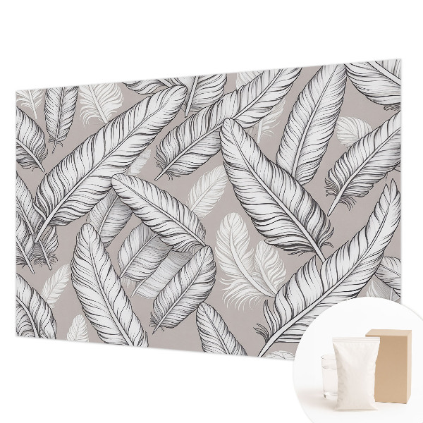 Fototapeta na ścianę Subtelne pióra