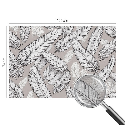 Fototapeta na ścianę Subtelne pióra