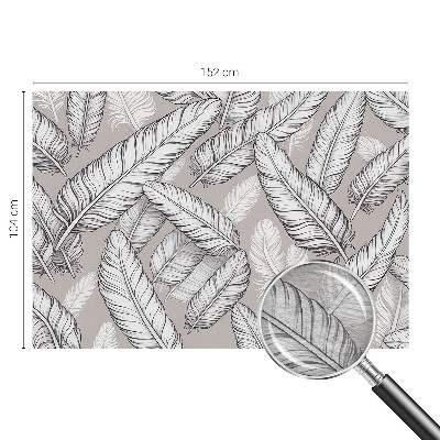 Fototapeta na ścianę Subtelne pióra