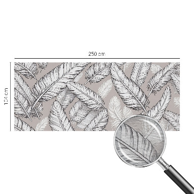 Fototapeta na ścianę Subtelne pióra