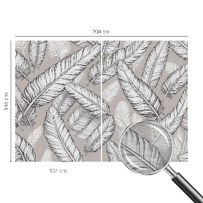 Fototapeta na ścianę Subtelne pióra